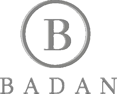 BADAN Ausbau Logo